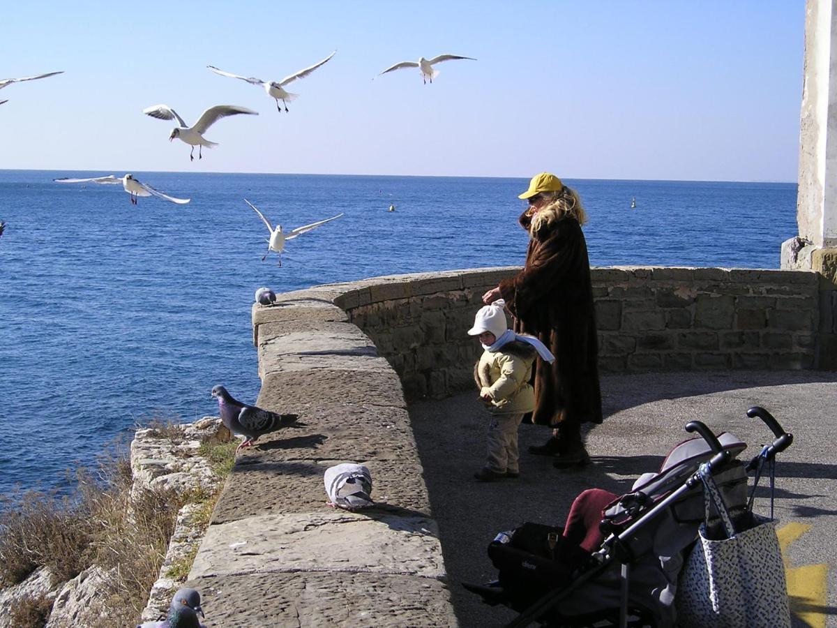 La Mansarda Delle Meraviglie B&B Superior Trieste Eksteriør billede