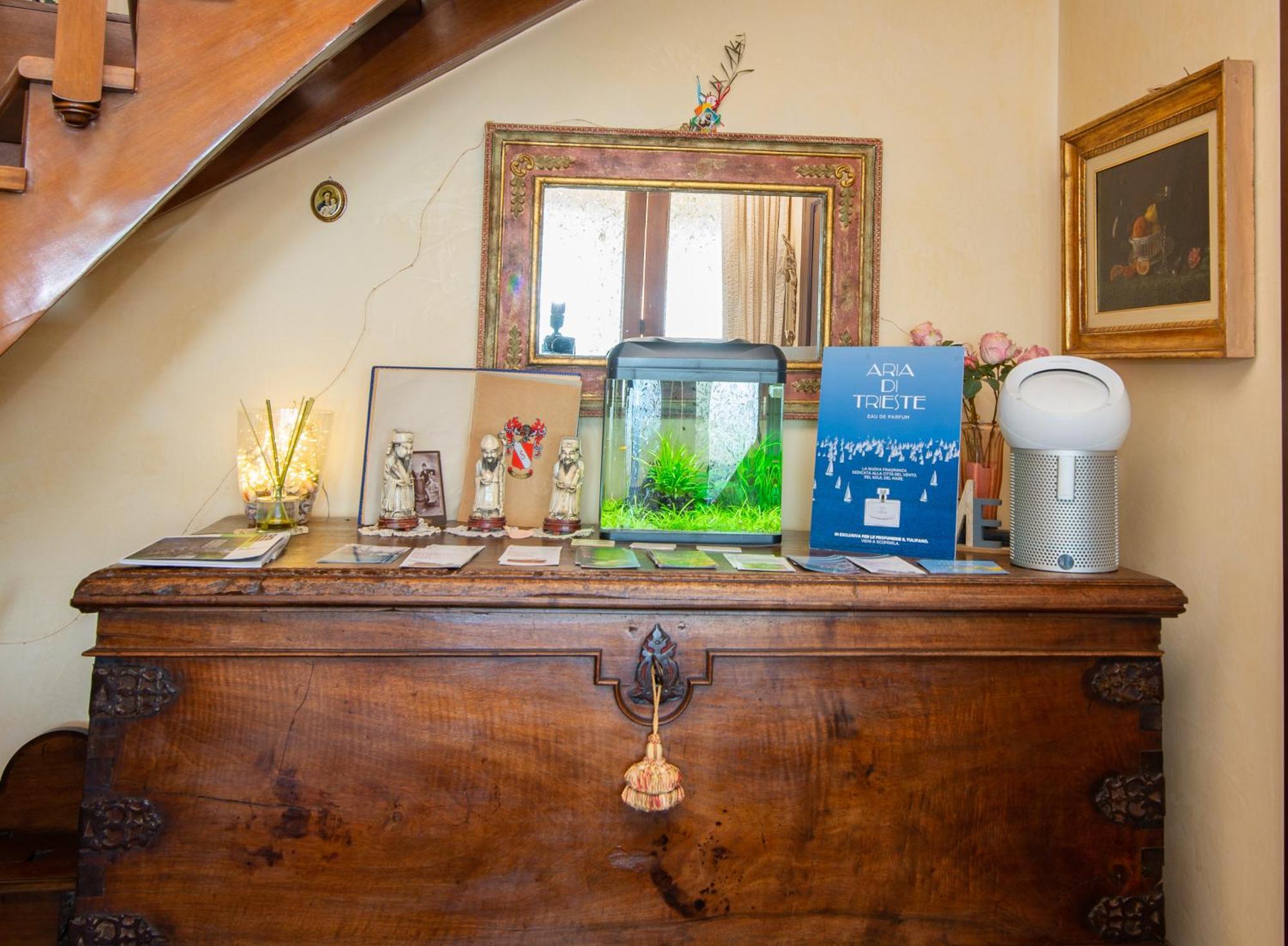 La Mansarda Delle Meraviglie B&B Superior Trieste Eksteriør billede